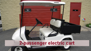 Cushman Motors Minneapolis rents 2-passenger electric carts