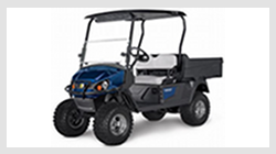 Cushman Hauler PRO-X electric utility vehicle. Click this image for details.