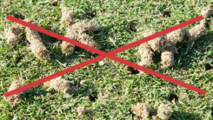 No messy core plugs to pick-up after Aera-Vating